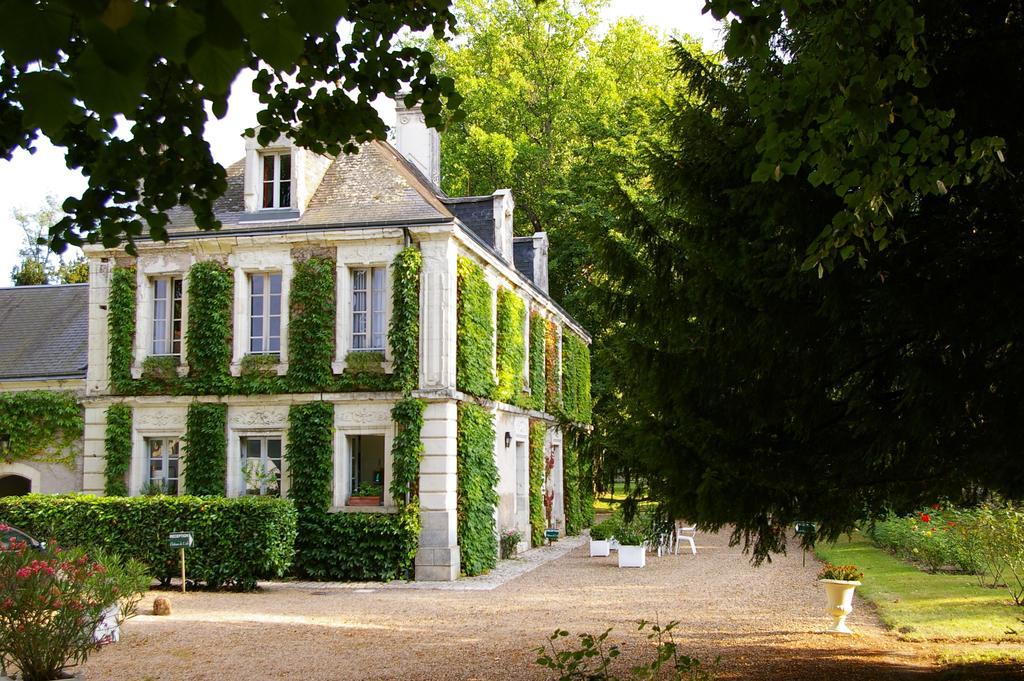 Hostellerie du Château de l'Isle La Croix-en-Touraine Cameră foto